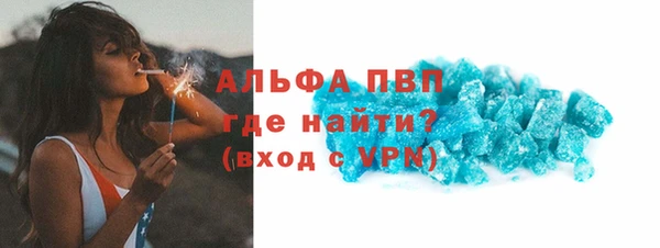 СК Дмитров