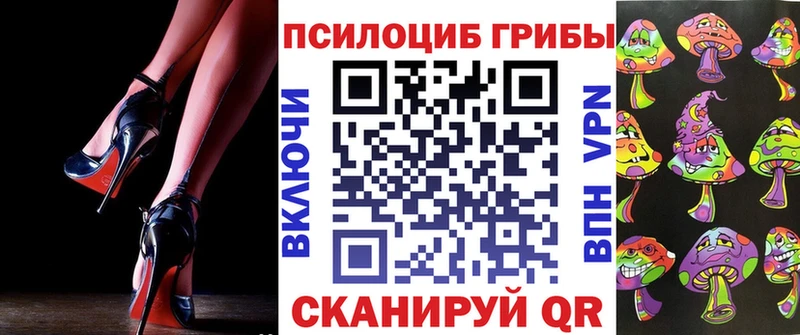 Галлюциногенные грибы прущие грибы  Купить закладки  Жердевка 